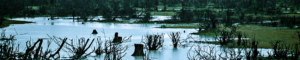 Australia’s wild summer and the implications on insurance premiums