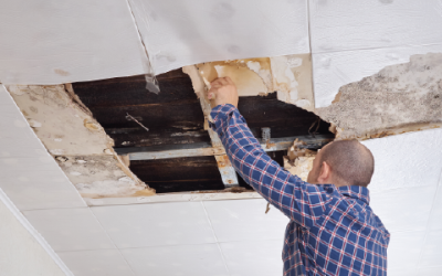 Business Interruption Insurance (BI) & Consequential Loss insurance