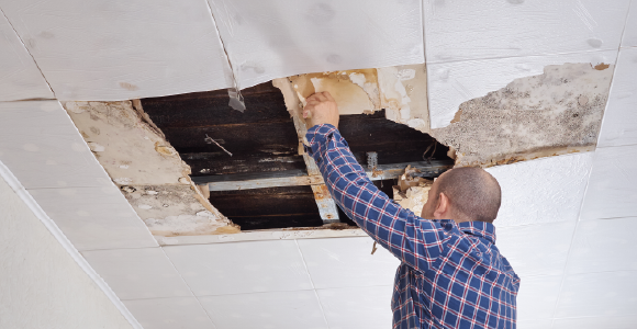 Business Interruption Insurance (BI) & Consequential Loss insurance