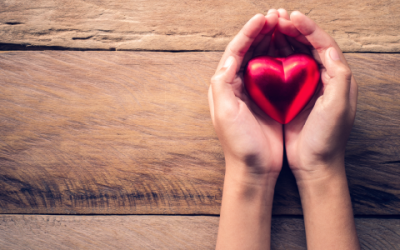 Insuring Your Charity, Community Group or Incorporated Association