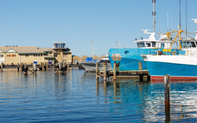 Marine Cargo Insurance: What Does It Cover?